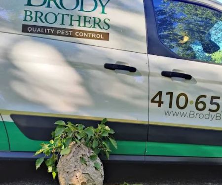 Brody Brothers Pest Control in Owings Mills
