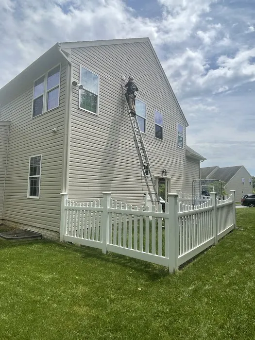 On The Fly Pest Solutions Picture 1