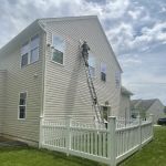 On The Fly Pest Solutions