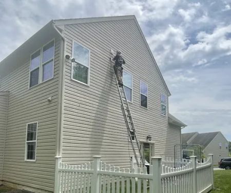 On The Fly Pest Solutions