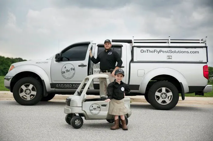 On The Fly Pest Solutions Picture 7