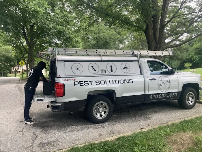 On The Fly Pest Solutions Picture 8