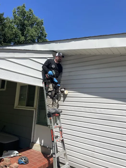 On The Fly Pest Solutions Picture 4