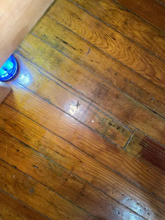 Frontline Pest and Termite of Baltimore Picture 9