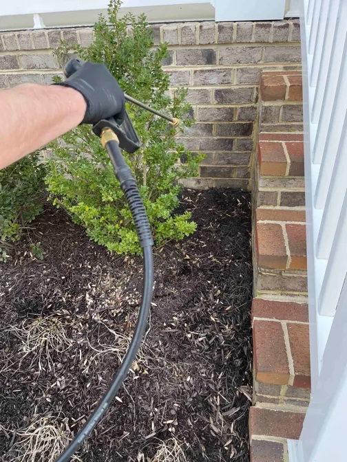 Hawx Pest Control Picture 9