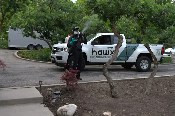 Hawx Pest Control Picture 7