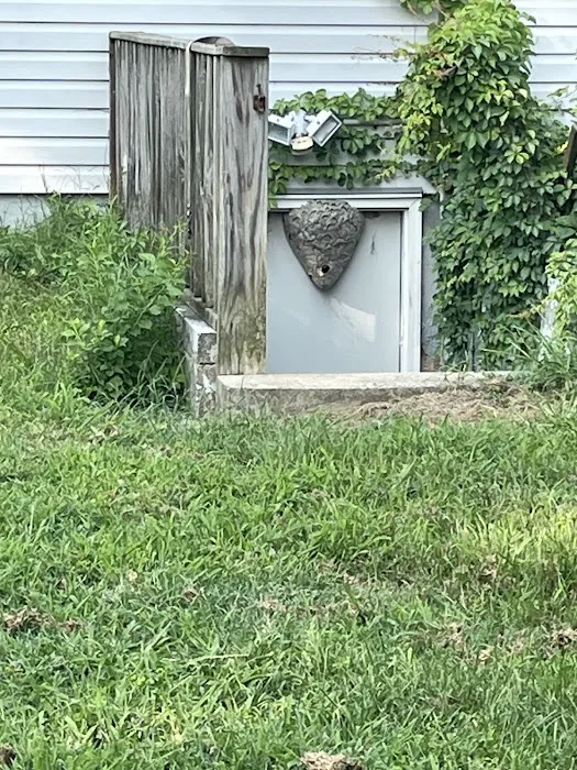 Ehrlich Pest Control Picture 5