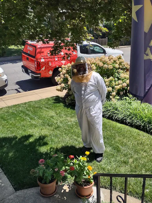 Ehrlich Pest Control Picture 3