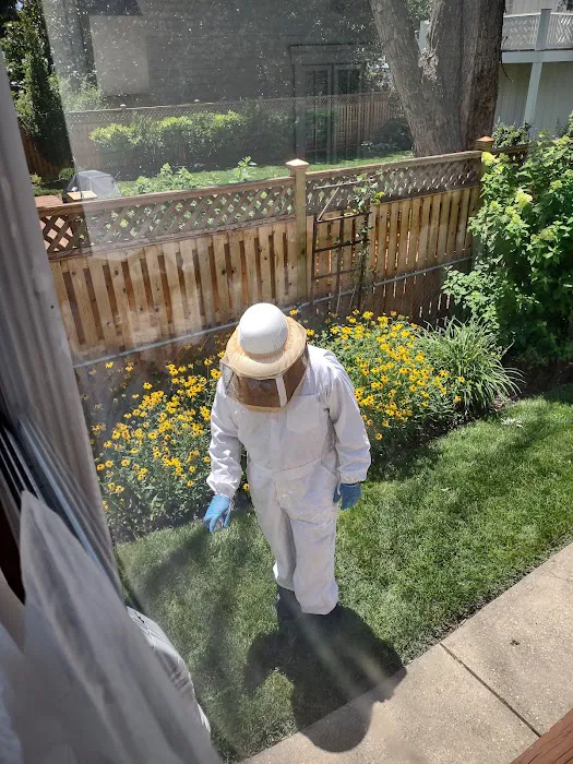Ehrlich Pest Control Picture 2