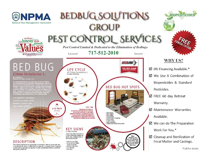 Bedbugs Solutions Group Picture 1