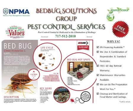 Bedbugs Solutions Group