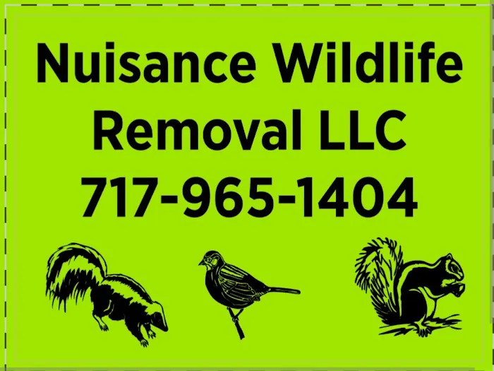 Nuisance Wildlife Removal LLC Picture 7