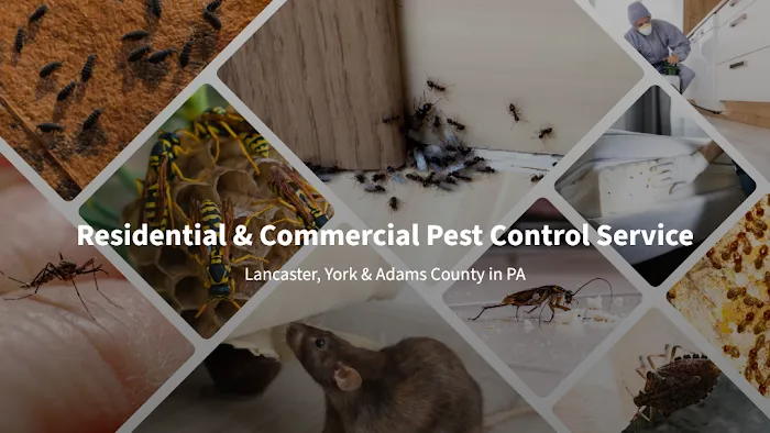 Total Exterminating Services Picture 3