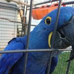 ATC Pest Control