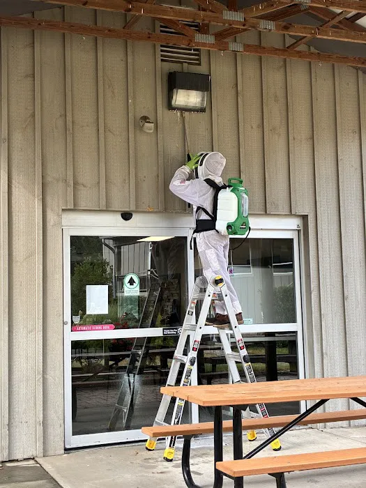 Armor Pest Control Picture 6