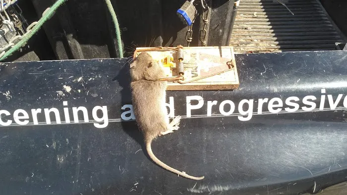 Van-Cal Pest Solutions LLC Picture 6