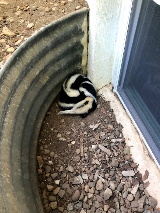 Felix Wildlife Services LLC Picture 2