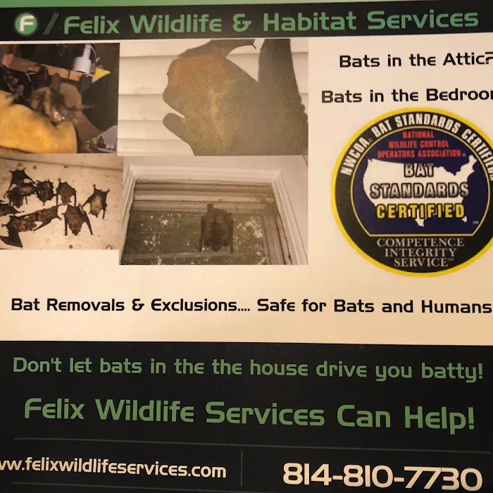 Felix Wildlife Services LLC Picture 3