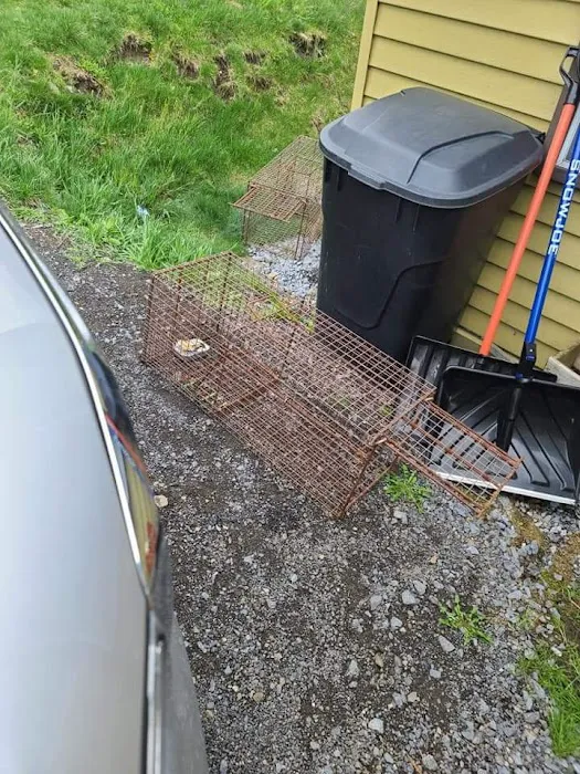 Knepp's Pest Control Picture 10