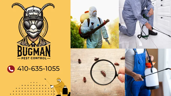 BugMan Pest Control Picture 2