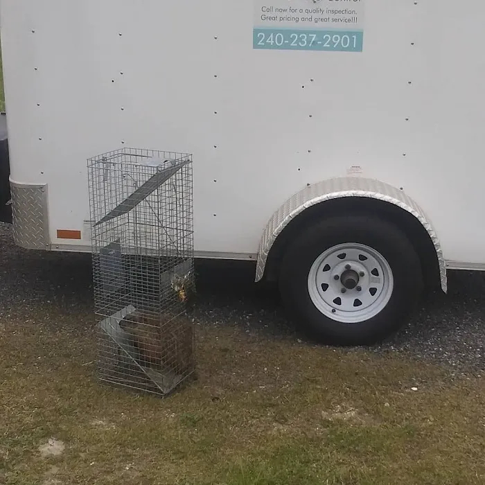 Gaynor Services LLC Pest Control And Construction Picture 1
