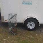 Gaynor Services LLC Pest Control And Construction