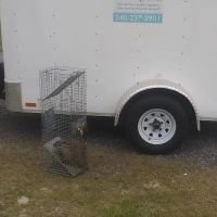 Gaynor Services LLC Pest Control And Construction ico