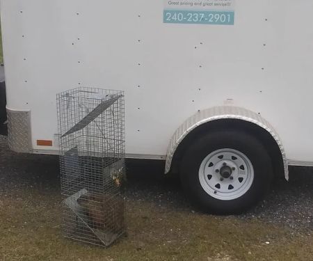 Gaynor Services LLC Pest Control And Construction