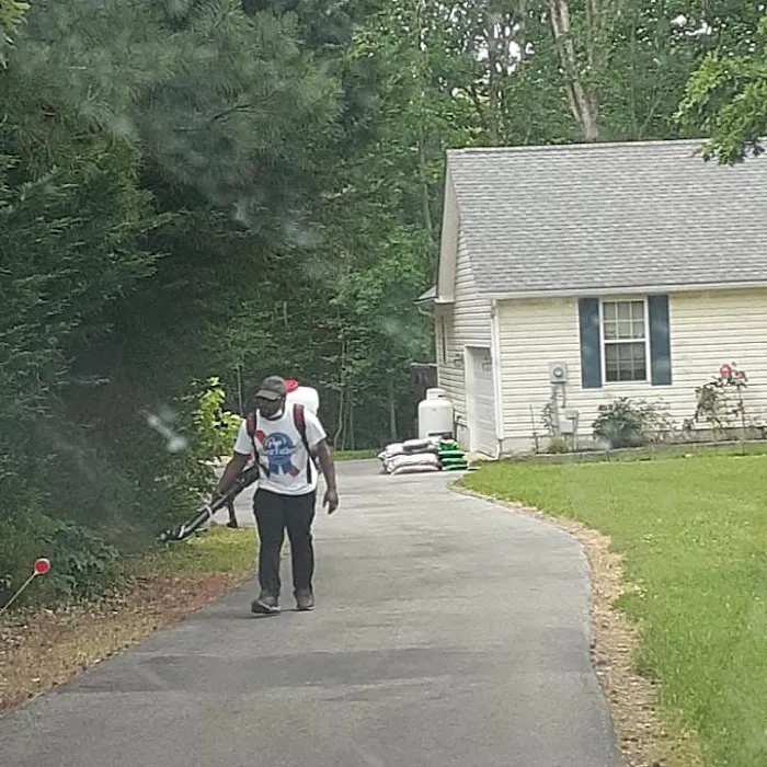 Gaynor Services LLC Pest Control And Construction Picture 8