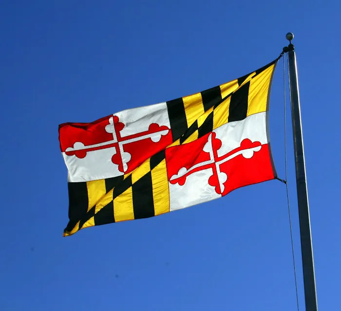 Southern Maryland Boys Pest Control Picture 1