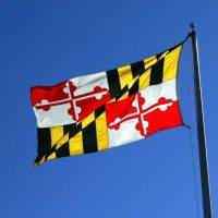 Southern Maryland Boys Pest Control ico