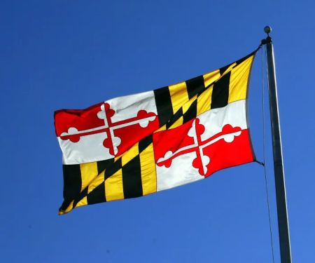 Southern Maryland Boys Pest Control