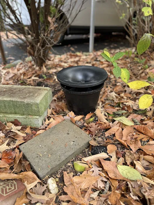 Planet Friendly Pest Control Picture 5