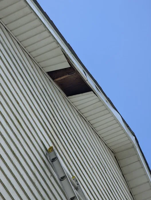 Mike's Pest and Termite Control Picture 2