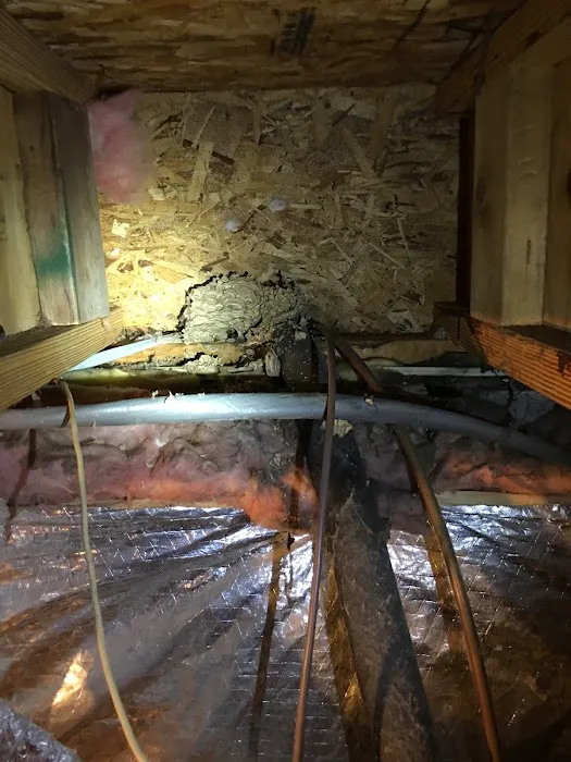 Home Paramount Pest Control Picture 9