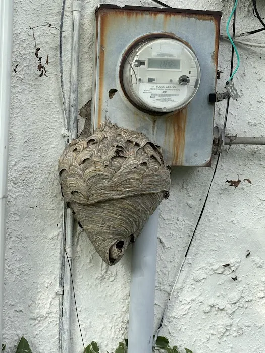 Rogers Pest Control, LLC Picture 10