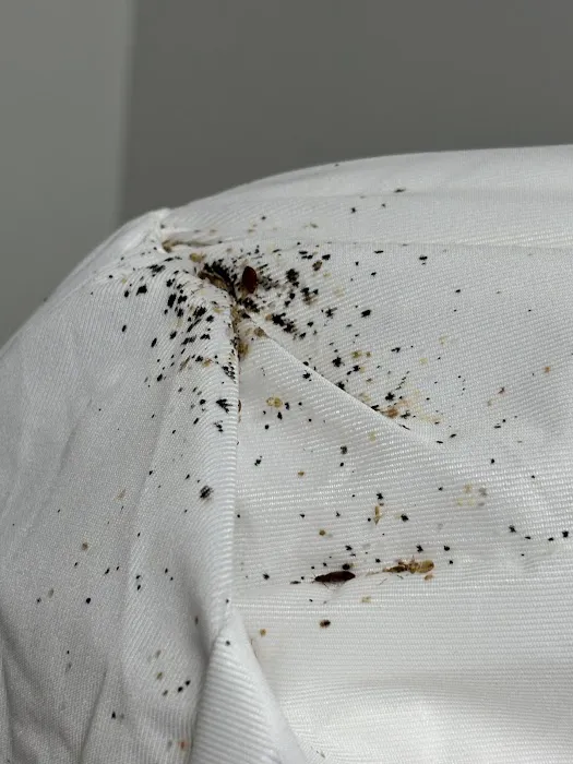 Rogers Pest Control, LLC Picture 8
