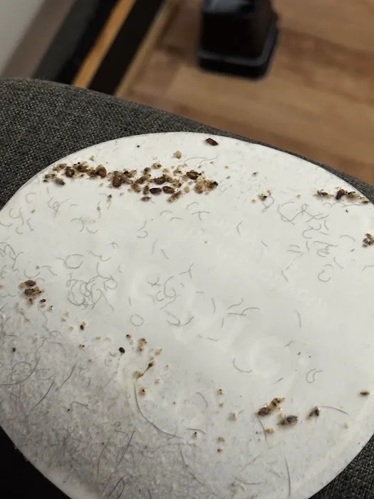 Rogers Pest Control, LLC Picture 9