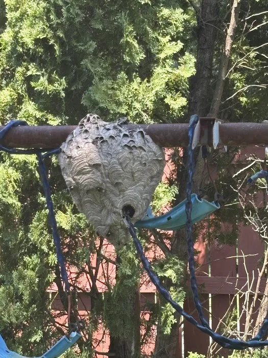 Rogers Pest Control, LLC Picture 1