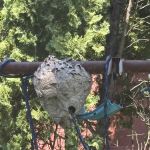 Rogers Pest Control, LLC