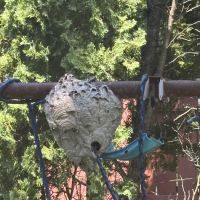 Rogers Pest Control, LLC ico