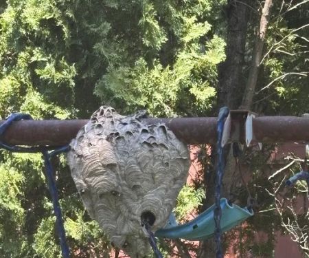 Rogers Pest Control, LLC
