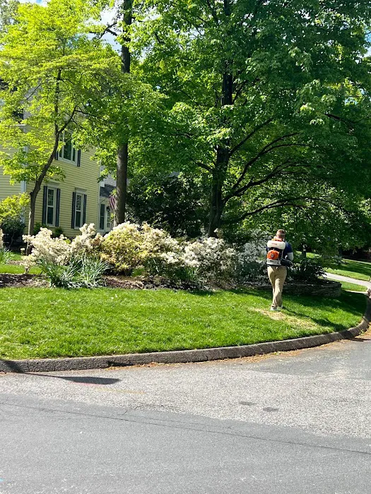 Park Pest Control Picture 9