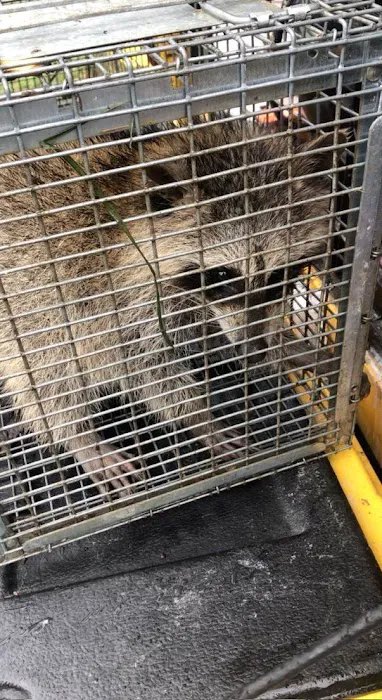 Park Pest Control Picture 6