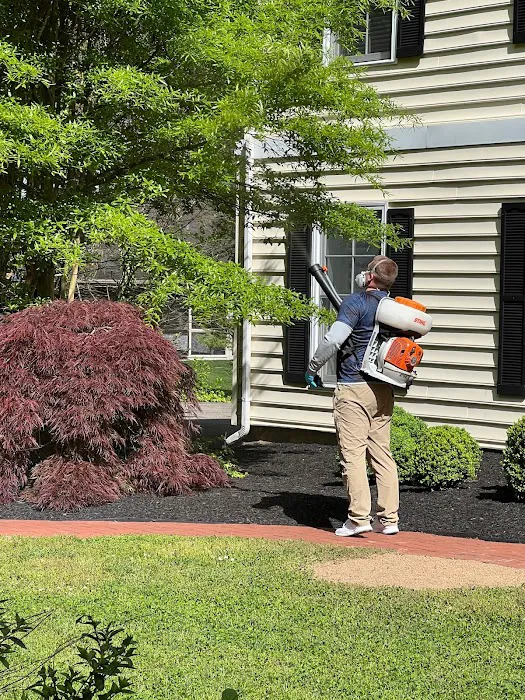 Park Pest Control Picture 8