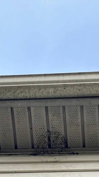 Park Pest Control Picture 4