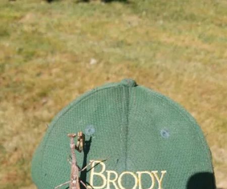 Brody Brothers Pest Control in Anne Arundel County