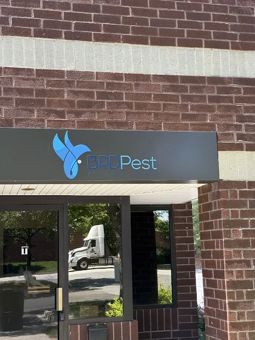 BRD Pest Solutions Picture 2