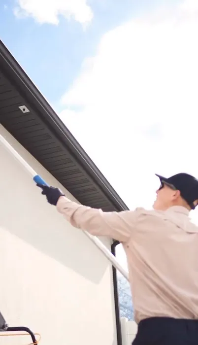 BRD Pest Solutions Picture 6