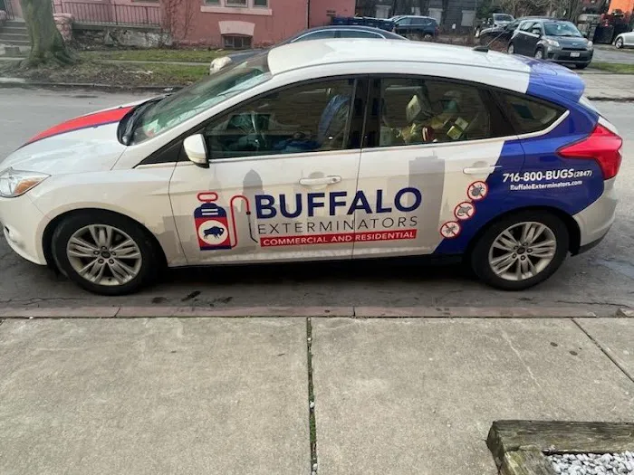 Buffalo Exterminators Inc Picture 3